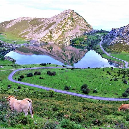 Vivienda Vacacional El Cuetu Del Sella Llames de Pría Eksteriør bilde